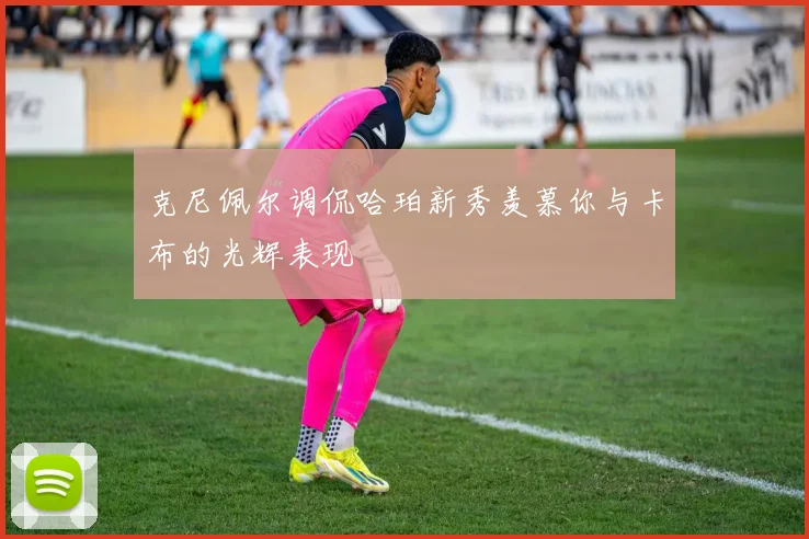 克尼佩尔调侃哈珀新秀羡慕你与卡布的光辉表现